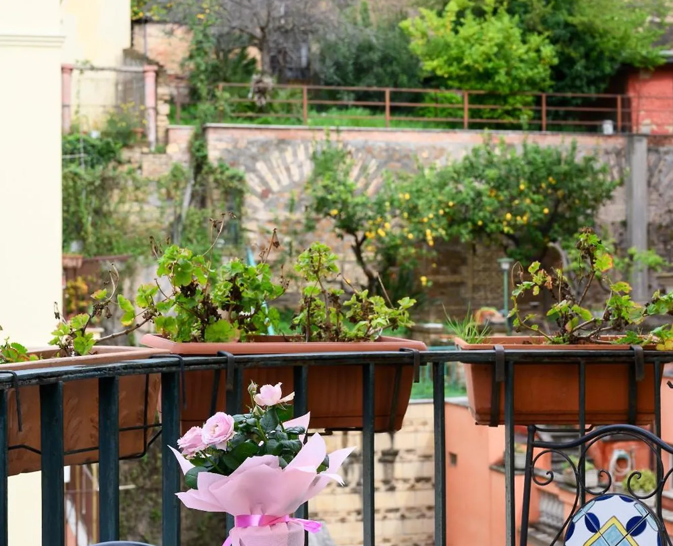 Magnoliahome Alla Cupola Di San Pietro Rome Italy